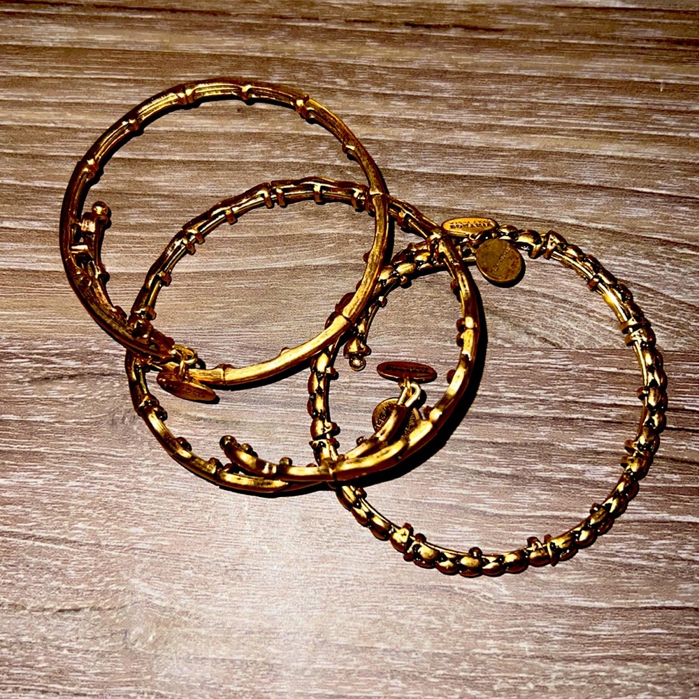 Alex & Ani Bracelet Trio